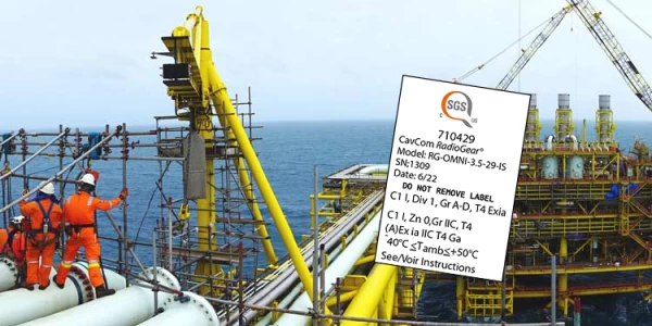 How to read an intrinsic safety label